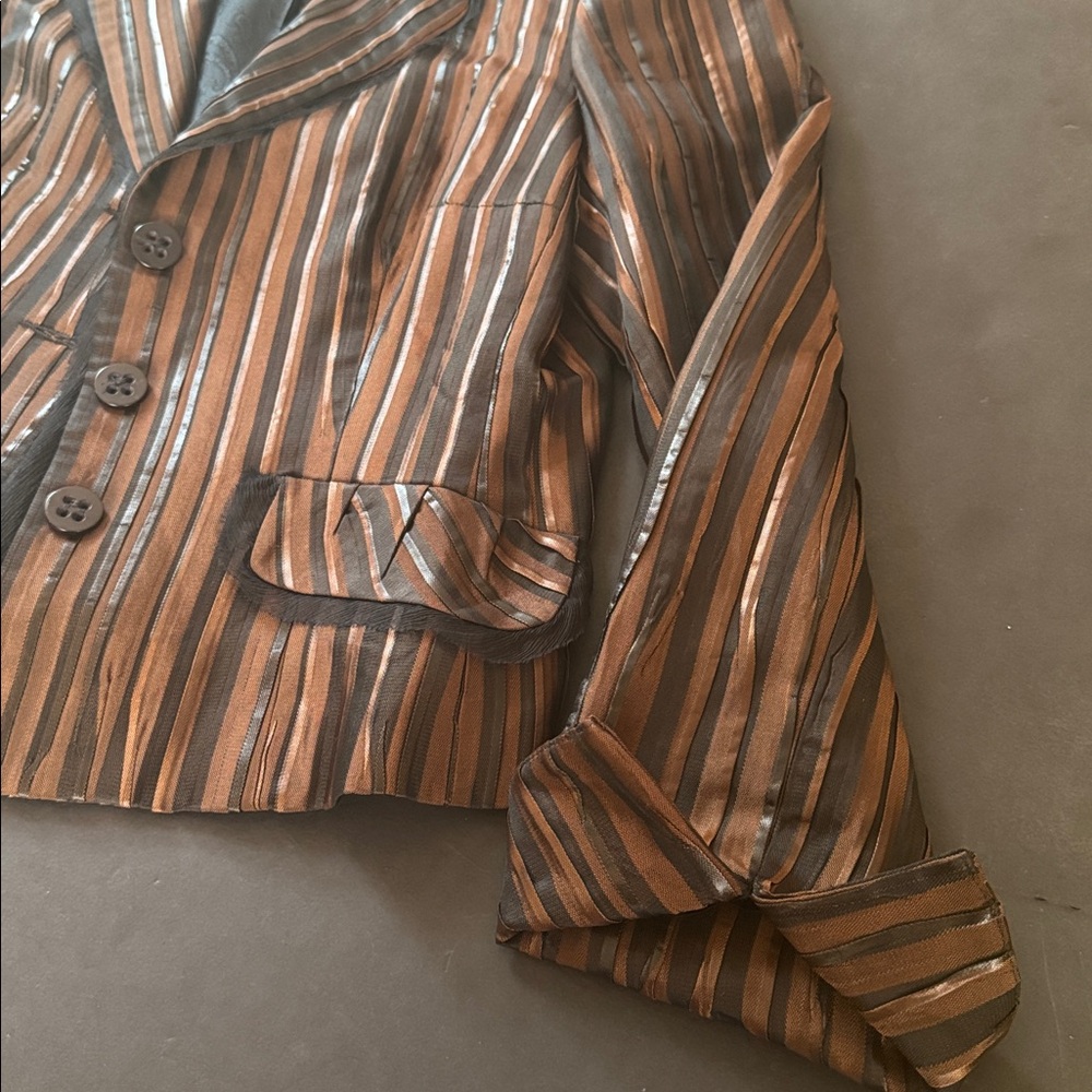 Earl Rutenberg Collection Striped Blazer Jacket - Picture 10 of 17